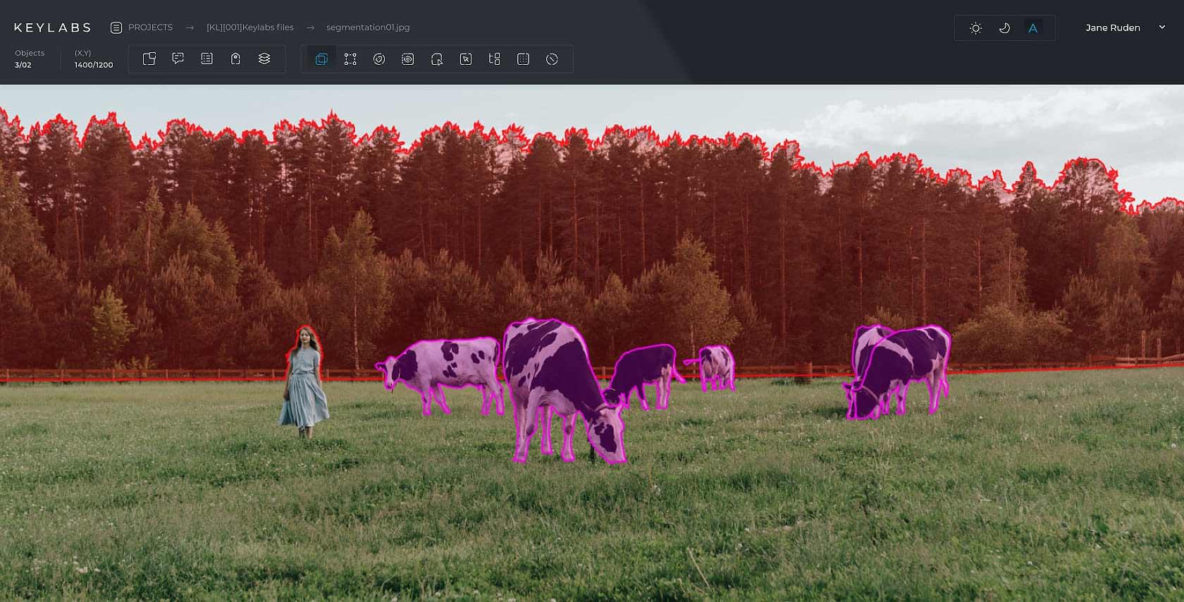 annotation tool for image segmentation